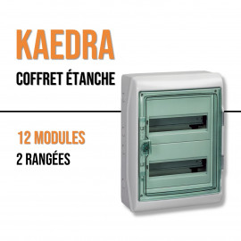 Coffret electrique Etanche Kaedra Schneider 2 Rangees 36 Modules 